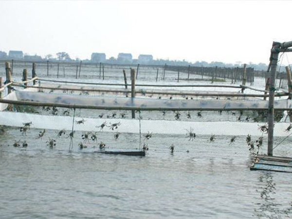 微信图片_20190122144124