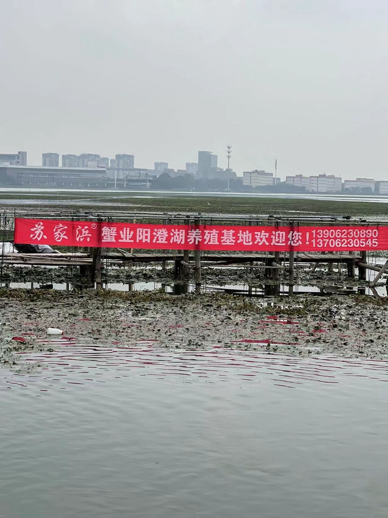 微信图片_20211127163512