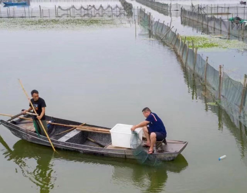 微信图片_20211127163545