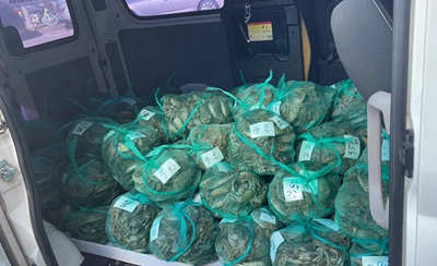 大闸蟹打包发货